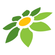 SITUS RESMI GREENDRAGON88
